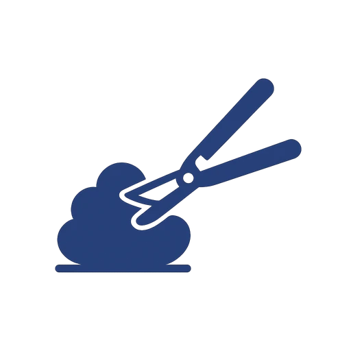 Brush Removal icon